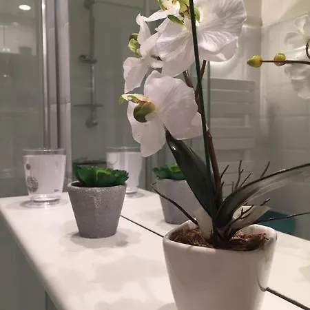 Διαμέρισμα Les Camelias *